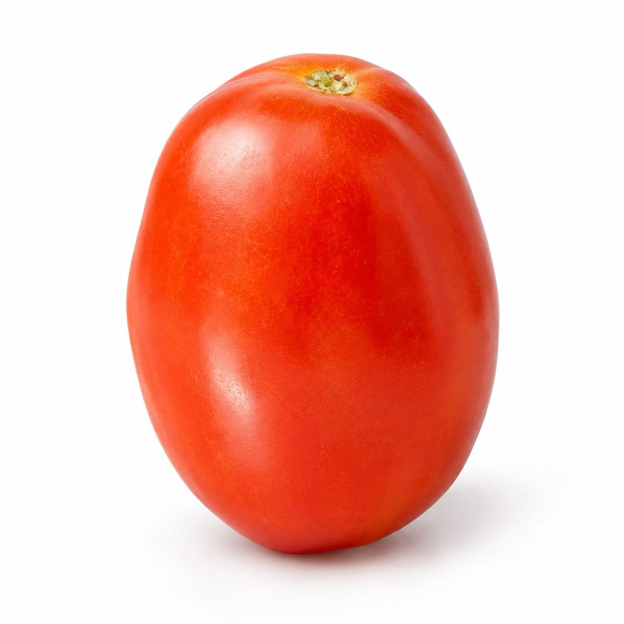Tomate Roma fresco sobre fondo blanco