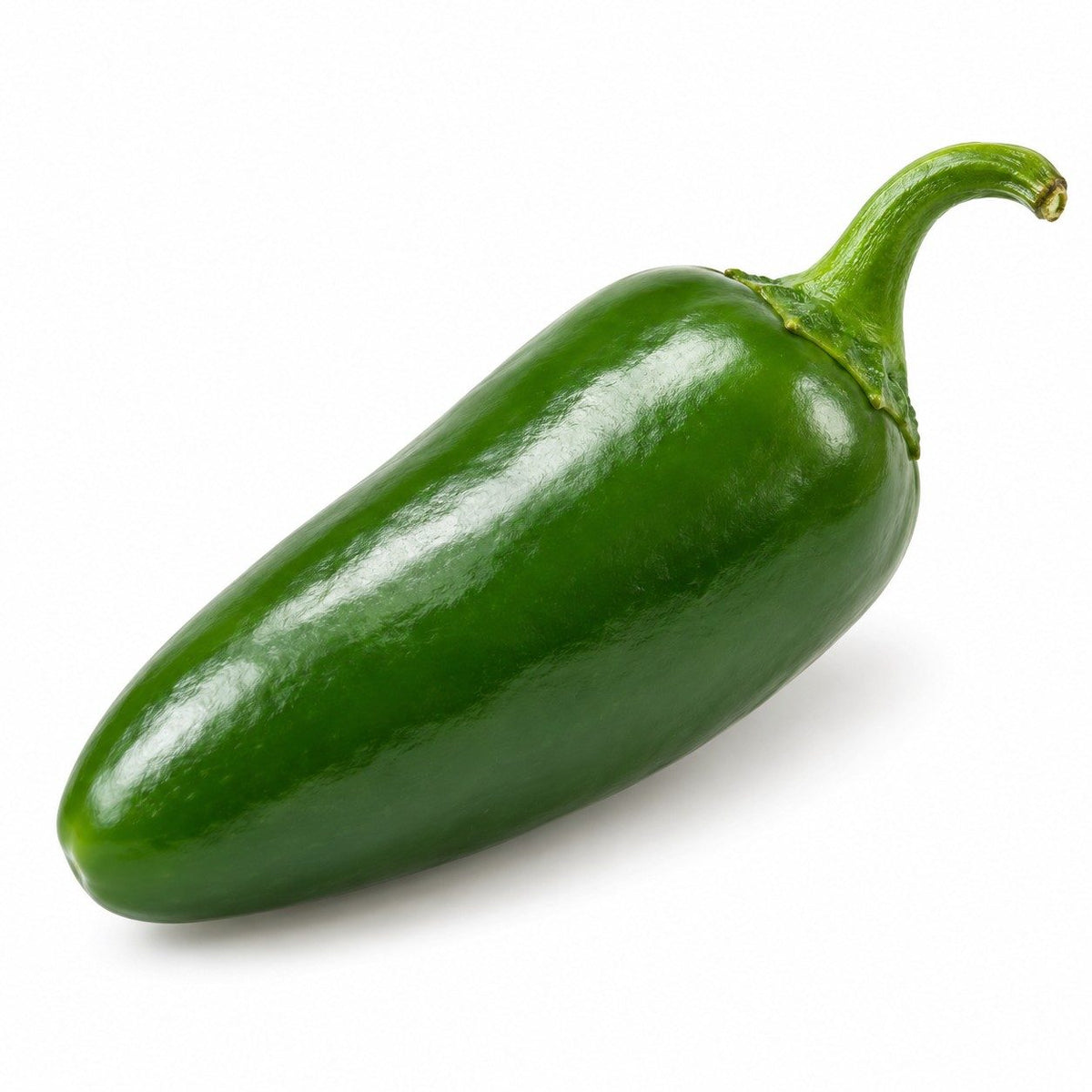Jalapeño verde fresco sobre fondo blanco