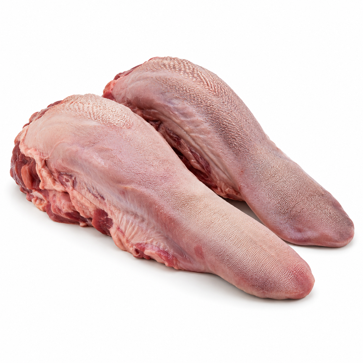 Lengua de res cruda sobre fondo blanco