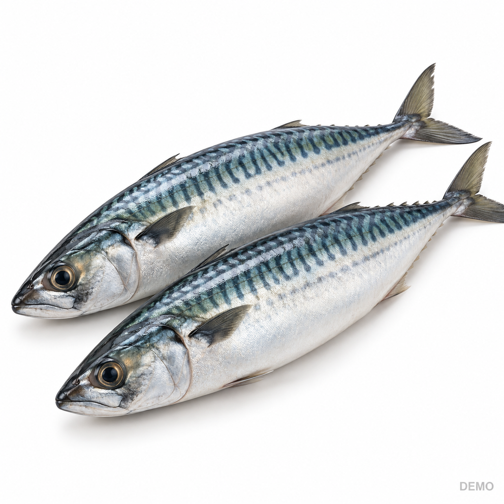 Caballa entera – 1 lb
