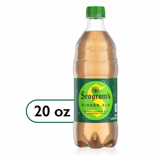 Seagram's Ginger Ale — 20 fl oz
