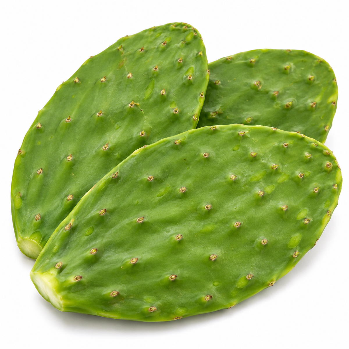 Nopales limpios frescos — imagen ilustrativa generada con IA