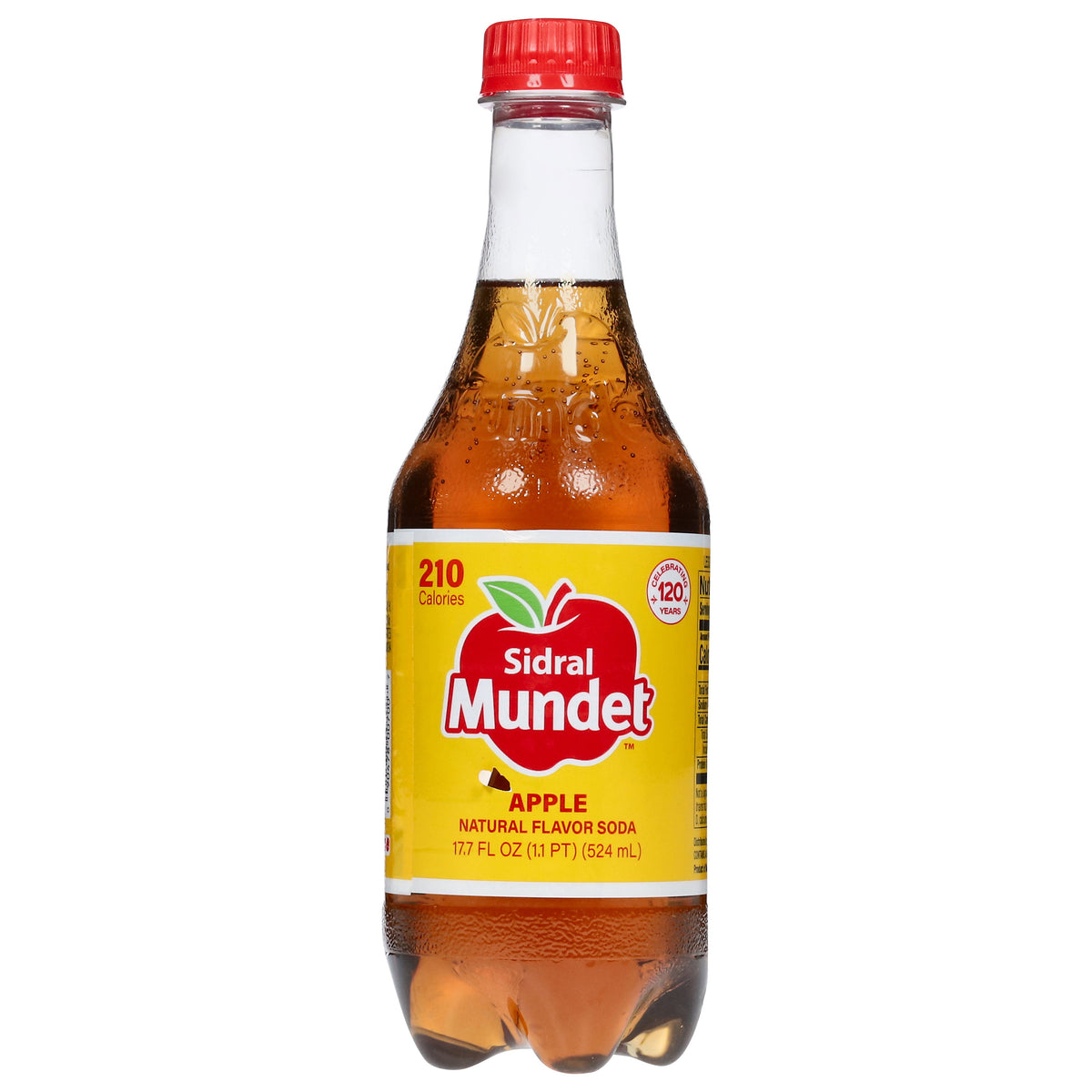 Sidral Mundet Apple Soda 17.7 fl oz